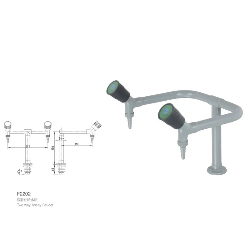 Laboratory Water Taps 5-Years