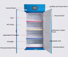 Flammable Substances Filtered Storage Cabinet 900*510*1960 mm