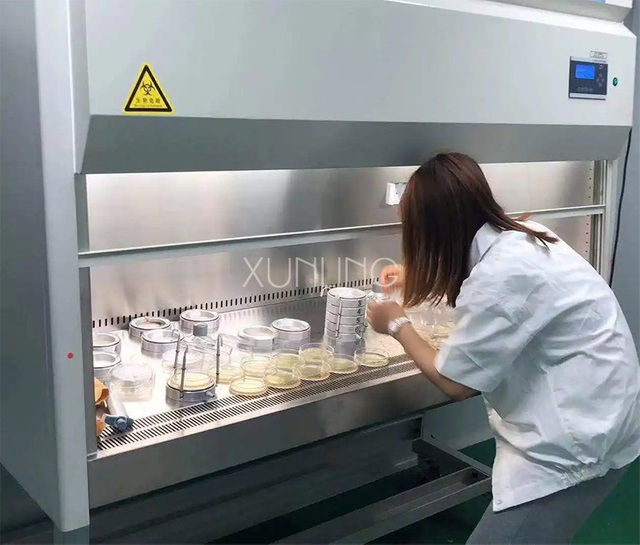 Klasse II Typ B2 Biosafety -Kabinett ≤ 5 μm