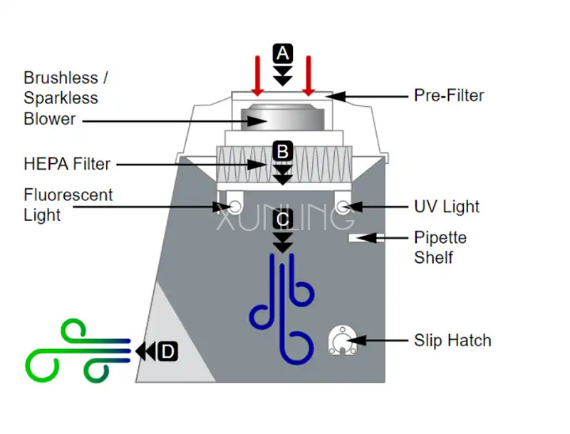 PCR Workstation 790*640*450 mm